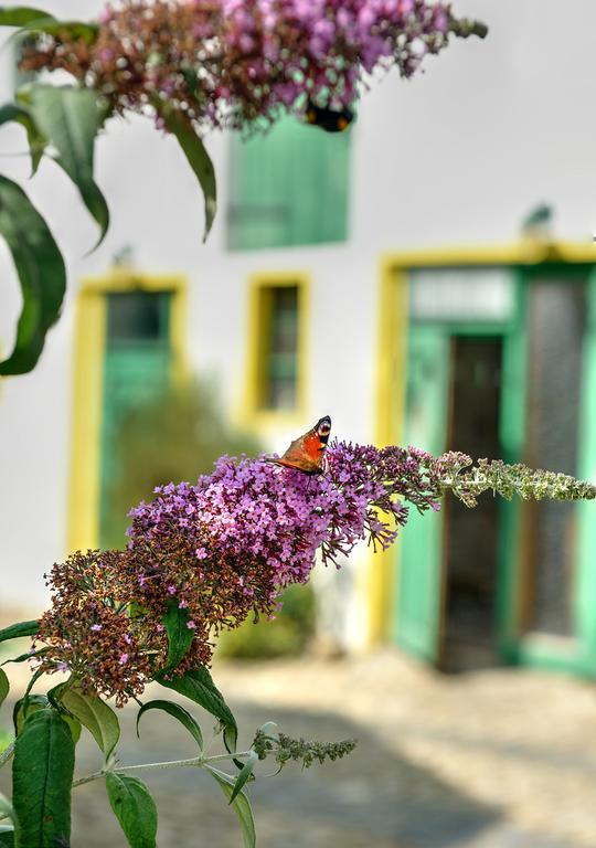 Landhotel Schwarzer Adler Sülzetal Kültér fotó
